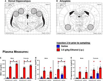 Acute Ethanol Challenge Differentially Regulates Expression of Growth Factors and miRNA Expression Profile of Whole Tissue of the Dorsal Hippocampus